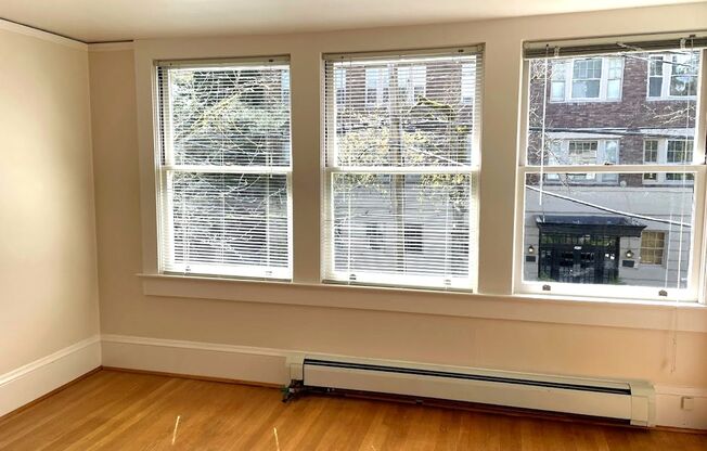 1 bed, 1 bath, 550 sqft, $1,250, Unit 3