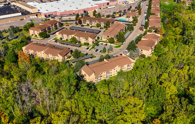A bird's eye view of a residential area surrounded by trees.