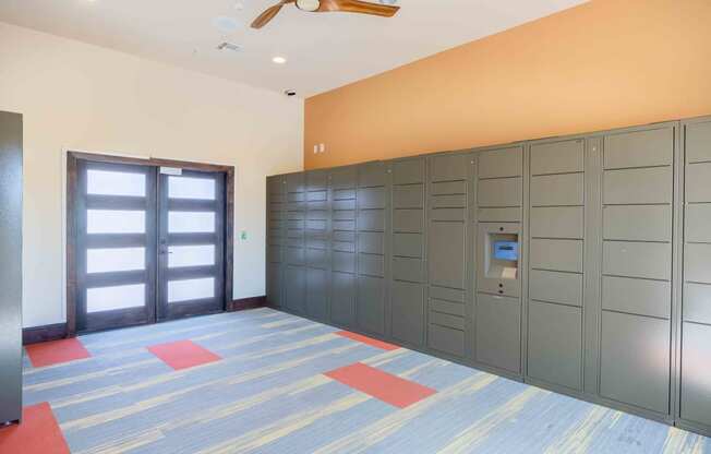 Package Locker at Alvista Round Rock, Round Rock, 78664
