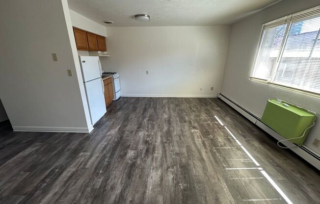 Studio, 1 bath, $750, Unit 205