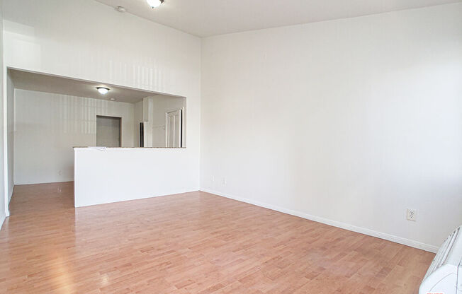 Studio, 1 bath, 560 sqft, $1,600