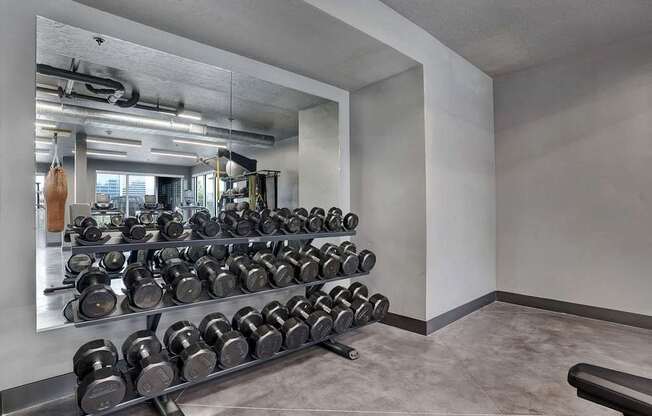 A gym with a row of dumbbells on a rack.