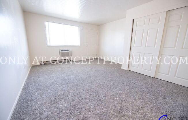 Studio, 1 bath, 360 sqft, $710, Unit 275