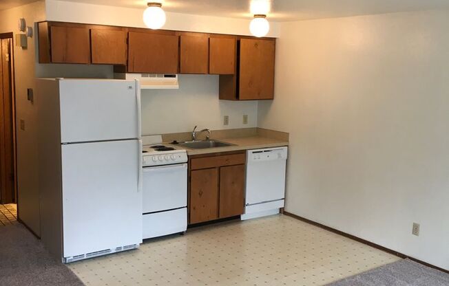 Studio, 1 bath, 450 sqft, $1,395, Unit 22