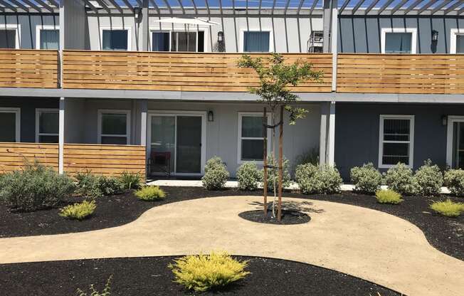 a courtyard with a tree and plants in front of a building