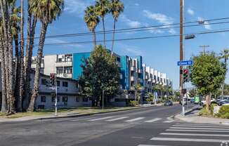 a city street with buildings and palm trees