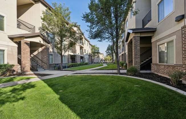 our apartments have a spacious courtyard with grass and trees