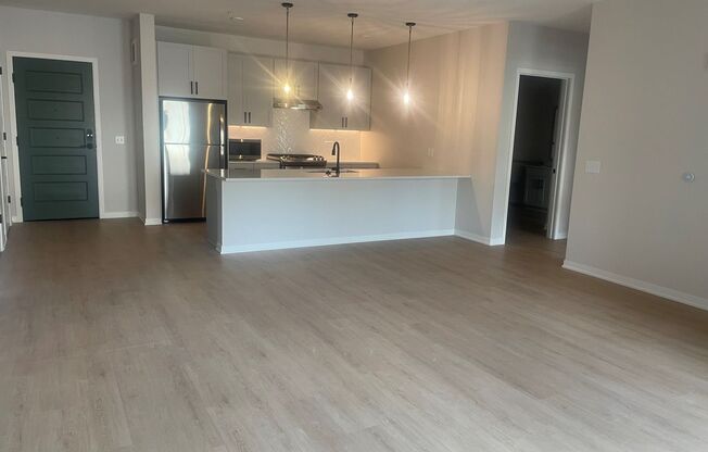 1 bed, 1 bath, 1,013 sqft, $2,989, Unit 102