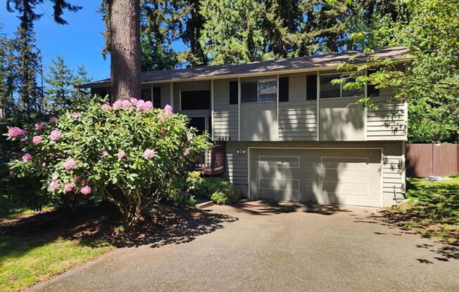 Beautiful 3 Bed 1.5 Bath Tri-Level home in Auburn