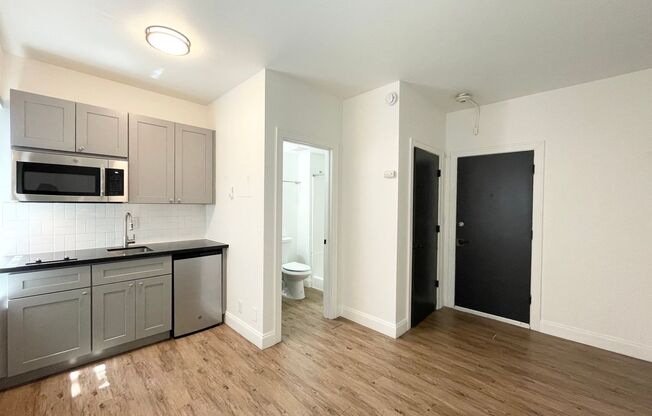 Studio, 1 bath, 249 sqft, $925, Unit 205