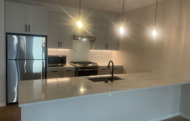 1 bed, 1 bath, 1,013 sqft, $2,989, Unit 102