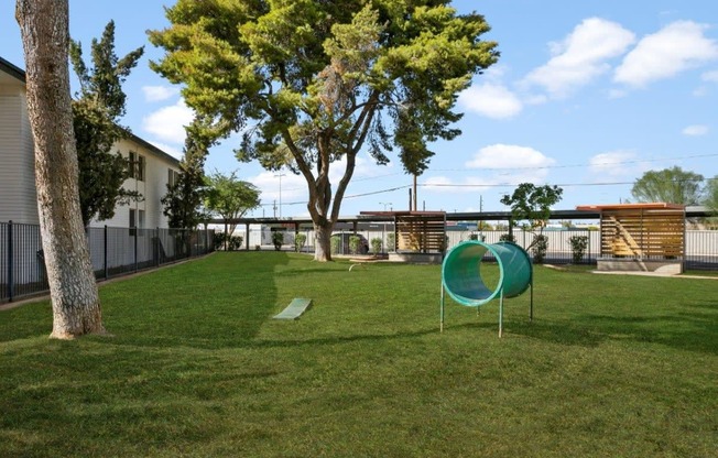 Pet-Friendly Apartments in Tempe – Sentry Tempe – dog park with lots of green area and agility equipment