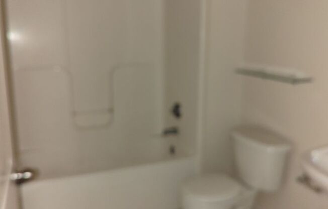 1 bed, 1 bath, $1,300, Unit APARTMENT 306