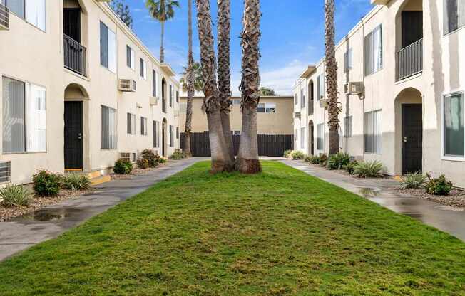 A row of apartment buildings with a tree in the middle.
