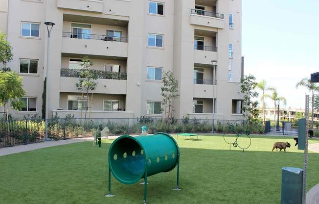 A playground with a green tube and a dog.