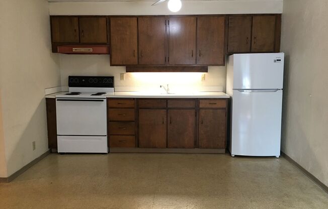 1 bed, 1 bath, 500 sqft, $950, Unit 4