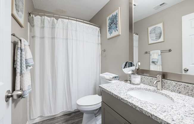 a bathroom with a sink and a toilet and a shower