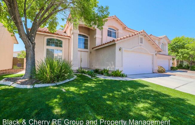829 Dancing Vine Ave.