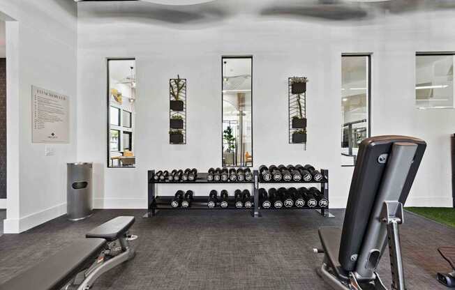 A gym with a row of dumbbells and a treadmill.