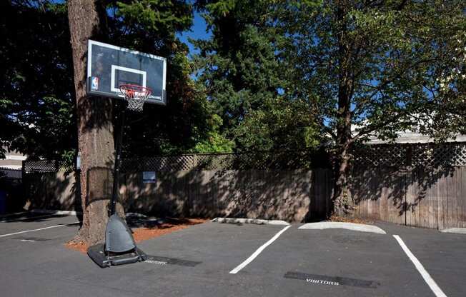 Villad'ShirlLee_Photo_BasketballCourt