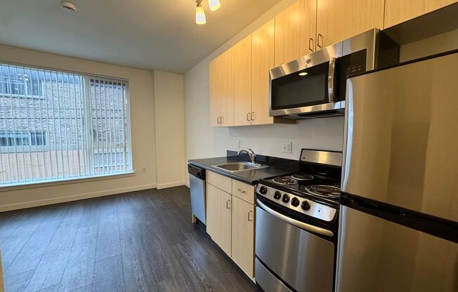 Studio, 1 bath, 248 sqft, $1,345, Unit 210