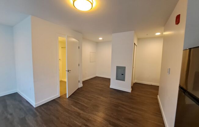 Studio, 1 bath, 355 sqft, $1,233, Unit 407