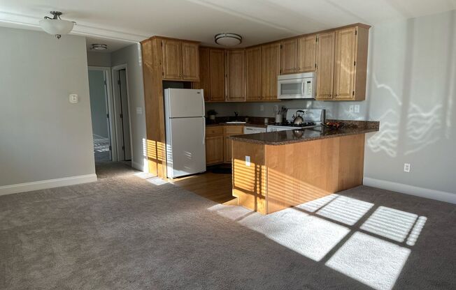 1 bed, 1 bath, 578 sqft, $1,450, Unit F03
