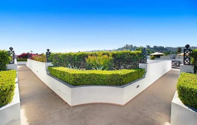 a view of the roof terrace with hedges and plants