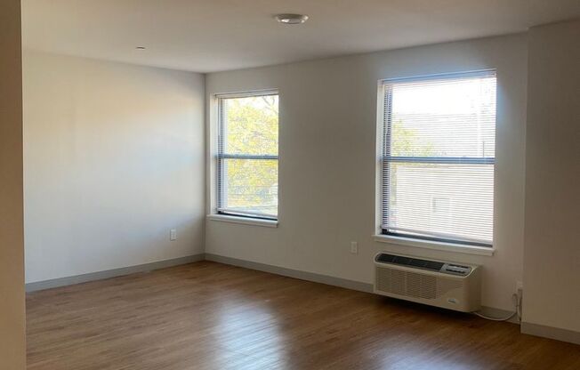 Studio, 1 bath, 437 sqft, $1,475, Unit 209