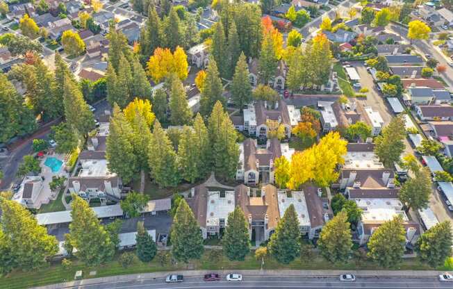 Drone image of the property and the neighborhood taken above the community