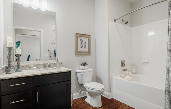 a bathroom with a shower toilet and sink and a mirror