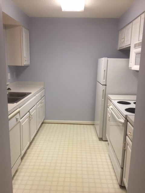 1 bed, 1 bath, $1,550