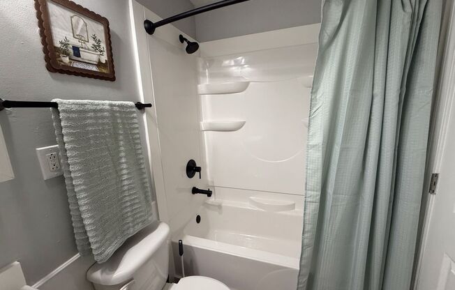 1 bed, 1 bath, 550 sqft, $1,300, Unit 1202