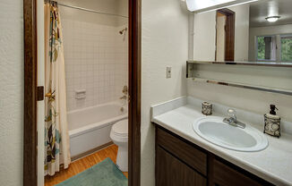 Driftwood Bathroom