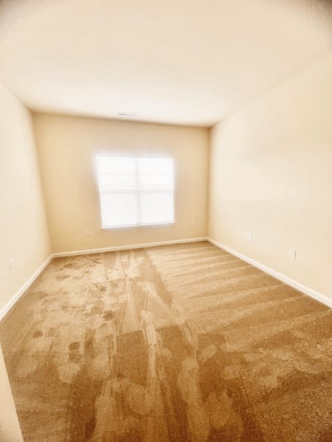 Bedroom with ceiling fan, carpet and window