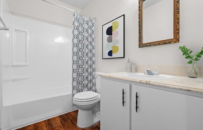 a bathroom with a sink and a toilet and a bath tub