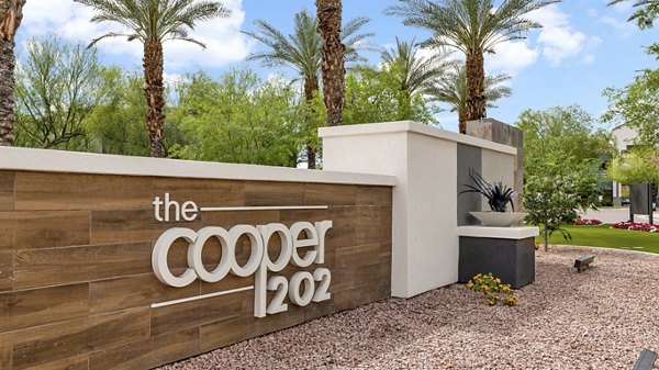 The Cooper 202 Apartments in Chandler
