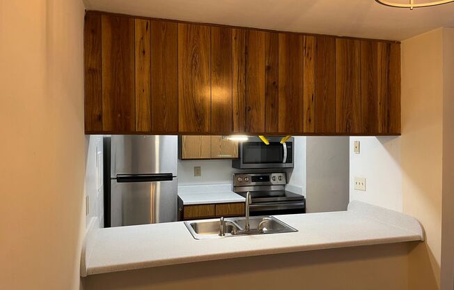 3 beds, 1 bath, 1,100 sqft, $1,500, Unit 517/101