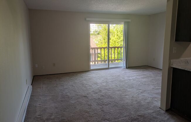 1 bed, 1 bath, 670 sqft, $1,250