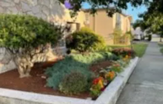 Duchess Apartments