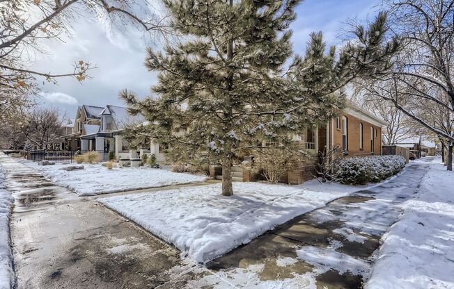 Charming Washington Park Home Available June 2025
