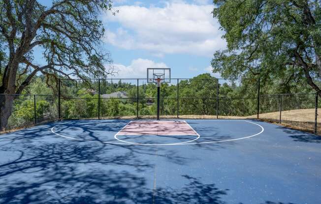 a basketball court with trees in the background