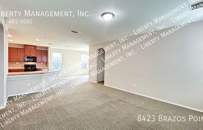 8423 BRAZOS PT