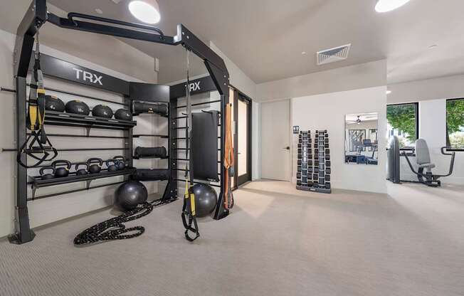 A TRX gym setup with various equipment and a carpeted floor.