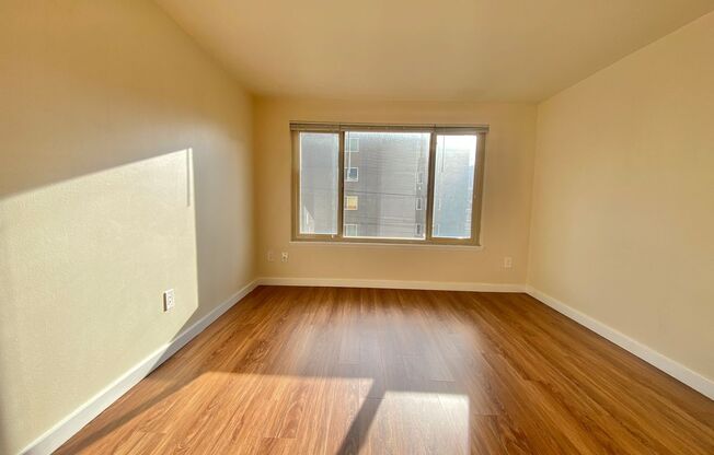 1 bed, 1 bath, 495 sqft, $1,595, Unit 303