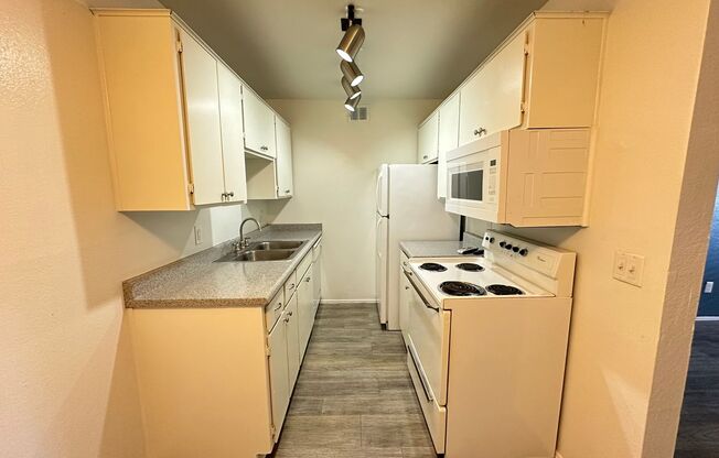 1 bed, 1 bath, 588 sqft, $840