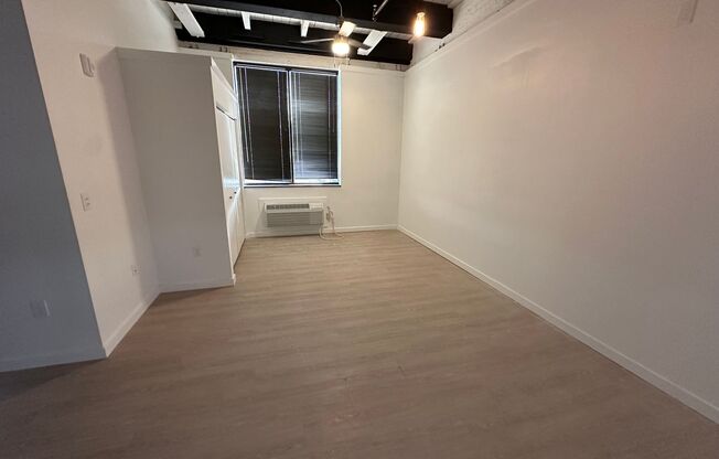 Studio, 1 bath, 173 sqft, $1,050, Unit 206