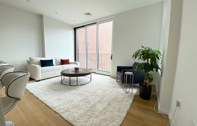 7 E SPRINGFIELD