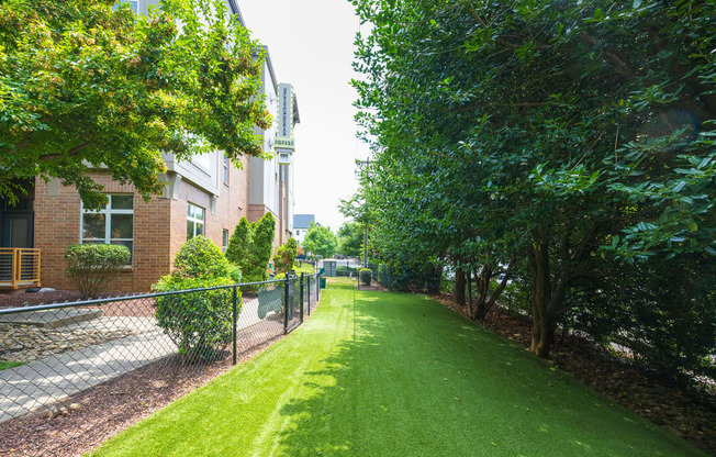 a view of a yard with trees and a fence