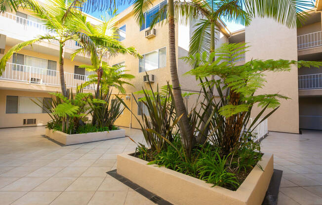 Apartment Building in Los Angeles Courtyard